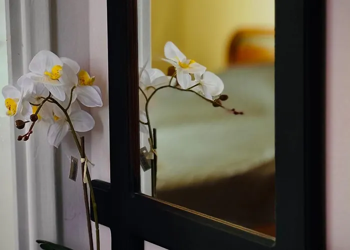 Sunlight Apartment